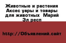 Животные и растения Аксесcуары и товары для животных. Марий Эл респ.